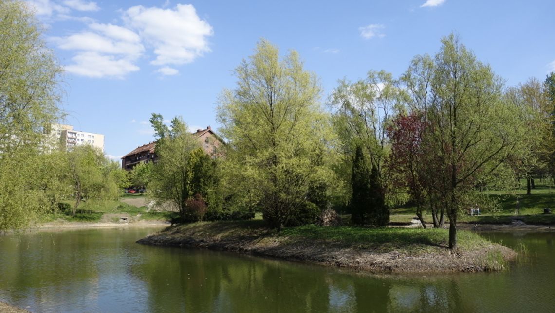 Staw w Parku Róż już po rewitalizacji