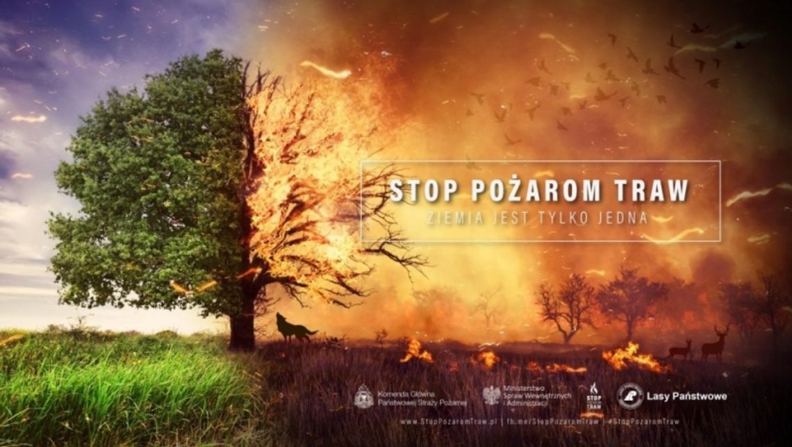 Stop pożarom traw Stop pożarom traw