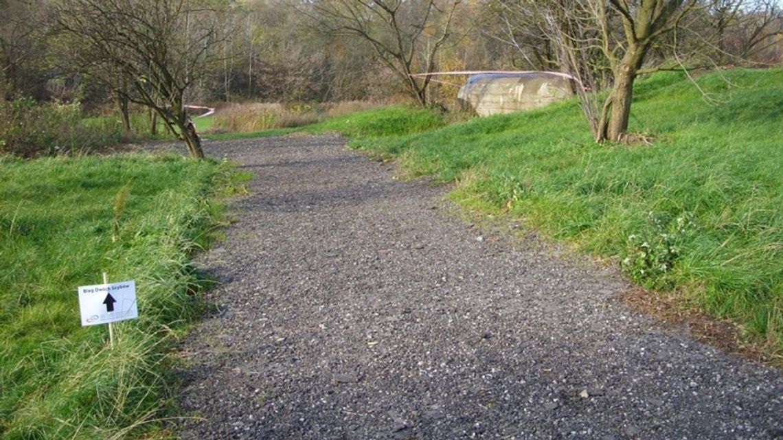 Święto wojska w Maciejkowicach