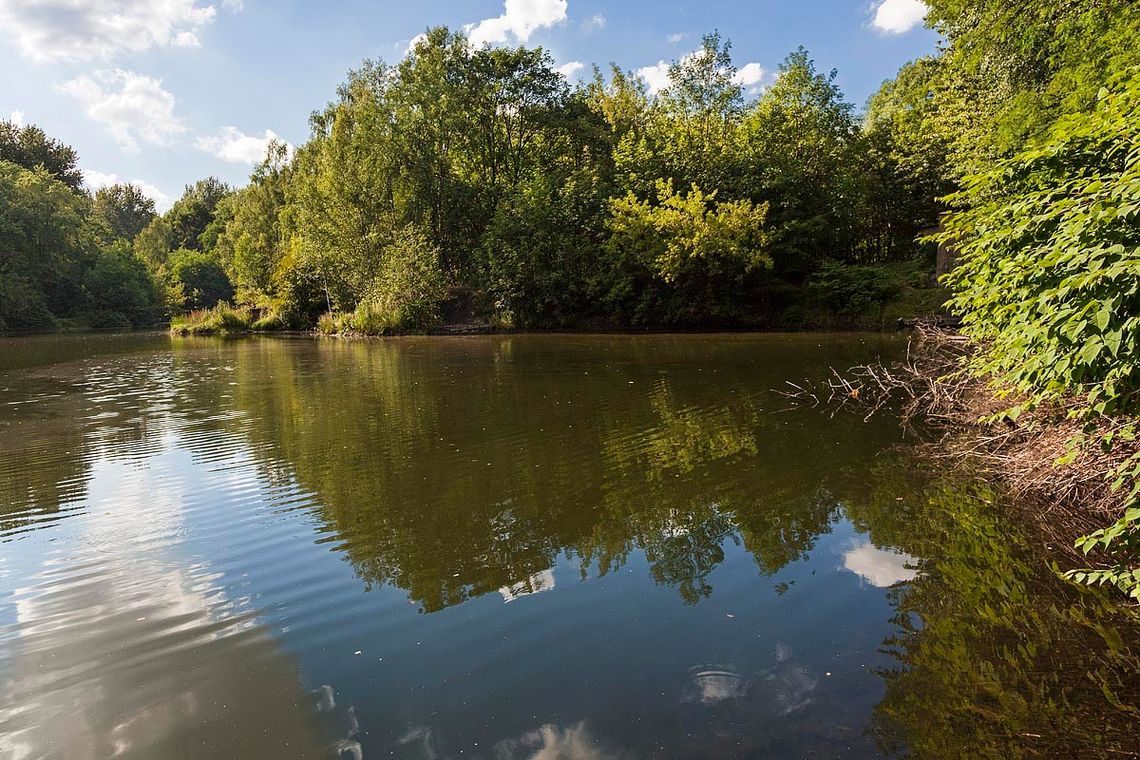 Świętochłowice odmieniają Park Jordanowski! Zobacz, co powstanie przy stawie Matylda