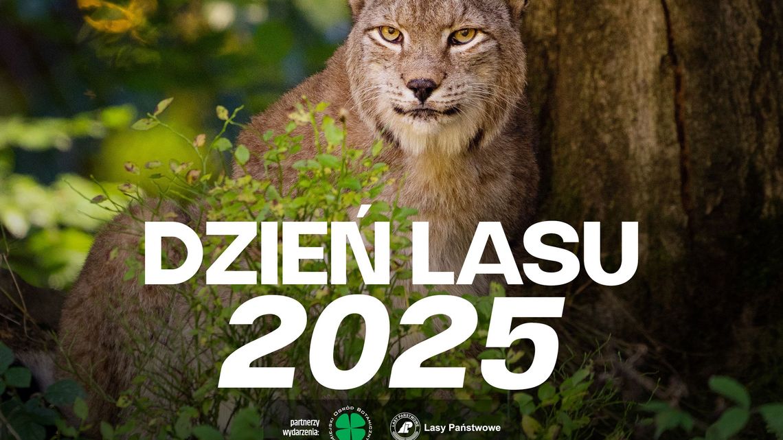 Świętuj Dzień Lasu w śląskim zoo