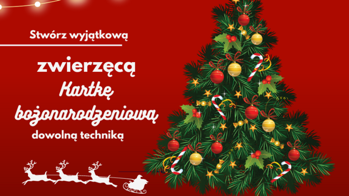 Trwa konkurs na kartkę bożonarodzeniową. Śląskie zoo zachęca do wspólnej zabawy