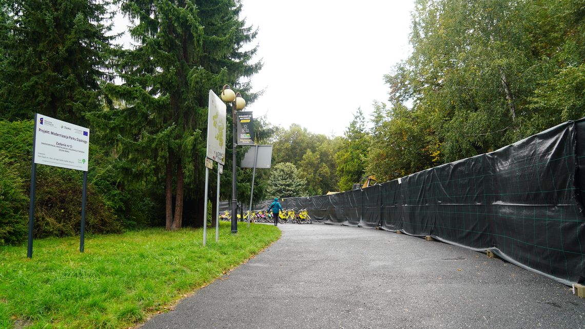 Trwa remont Alei Żyrafy. Jak zmieni się to miejsce? Trwa remont Alei Żyrafy. Jak zmieni się to miejsce?