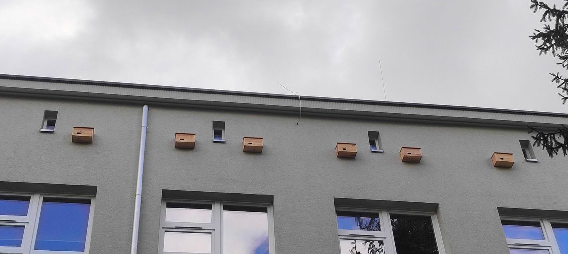Trwa termomodernizacja chorzowskiej placówki oświatowej. Podczas prac nie zapomniano o skrzydlatych mieszkańcach budynku Trwa termomodernizacja chorzowskiej placówki oświatowej. Podczas prac nie zapomniano o skrzydlatych mieszkańcach budynku