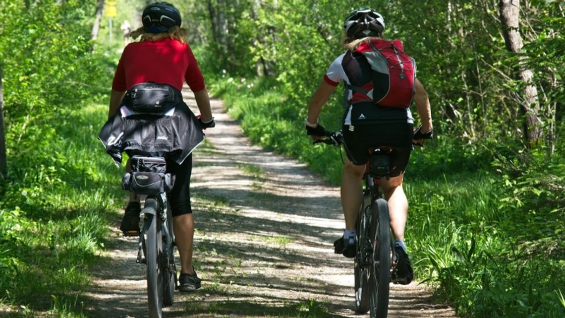 Trwają Badania Klimatu Rowerowego. Wyraź swoją opinię!