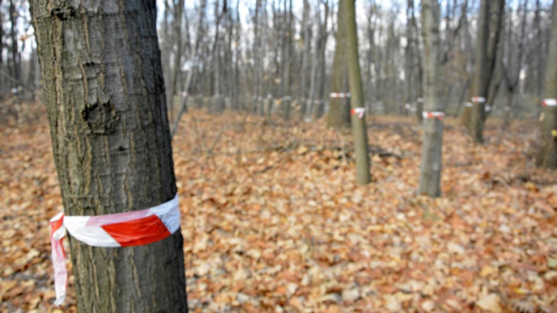 Trwają protesty ws. inwestycji przy MTK