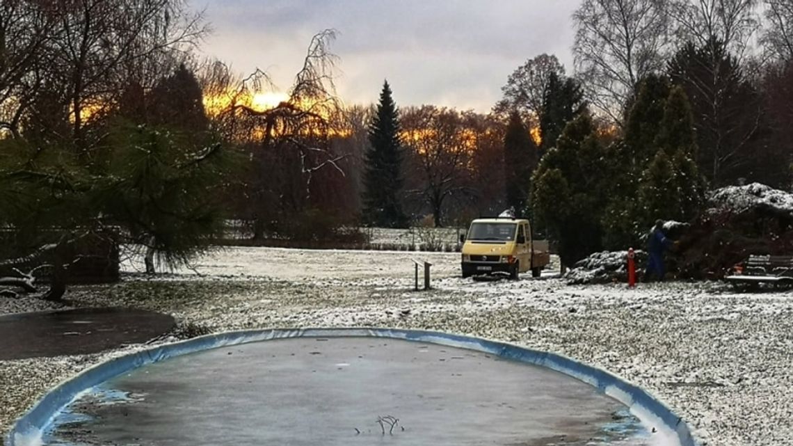 Trwają przygotowania do stworzenia Ogrodu Japońskiego