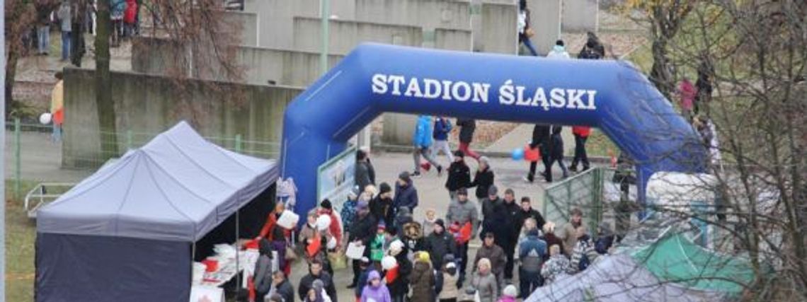 Udany piknik rodzinny na Stadionie Śląskim! [zdjęcia]