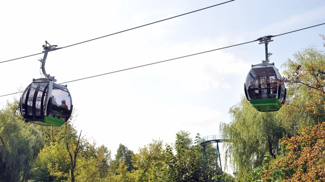 Urodzinowy tydzień z Elką