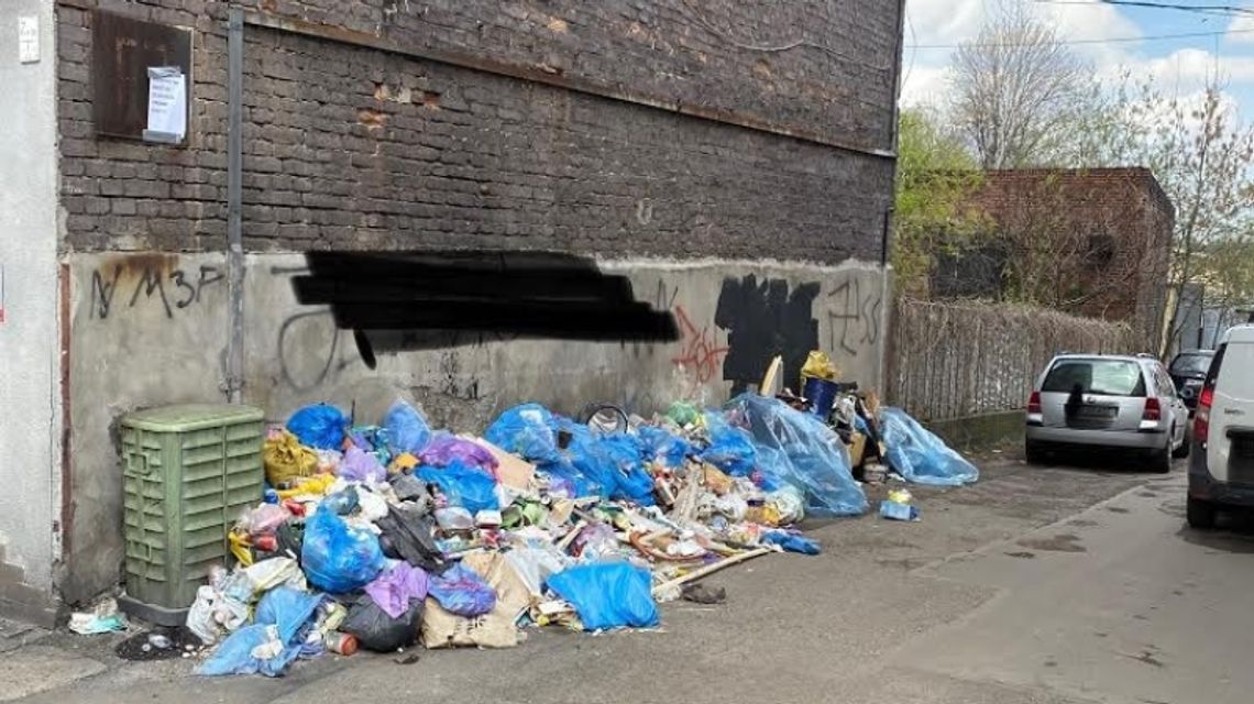 Urząd miasta otwarcie o dewastacjach i zaśmiecaniu Chorzowa
