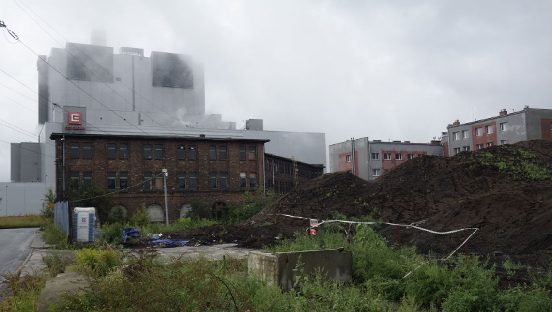 Urząd miasta potwierdza informacje ws. usunięcia biomasy Urząd miasta potwierdza informacje ws. usunięcia biomasy