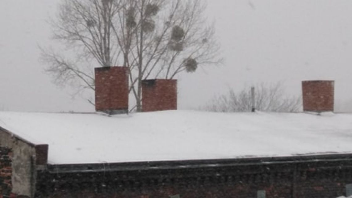 Usuwanie sopli i śniegu z dachów 