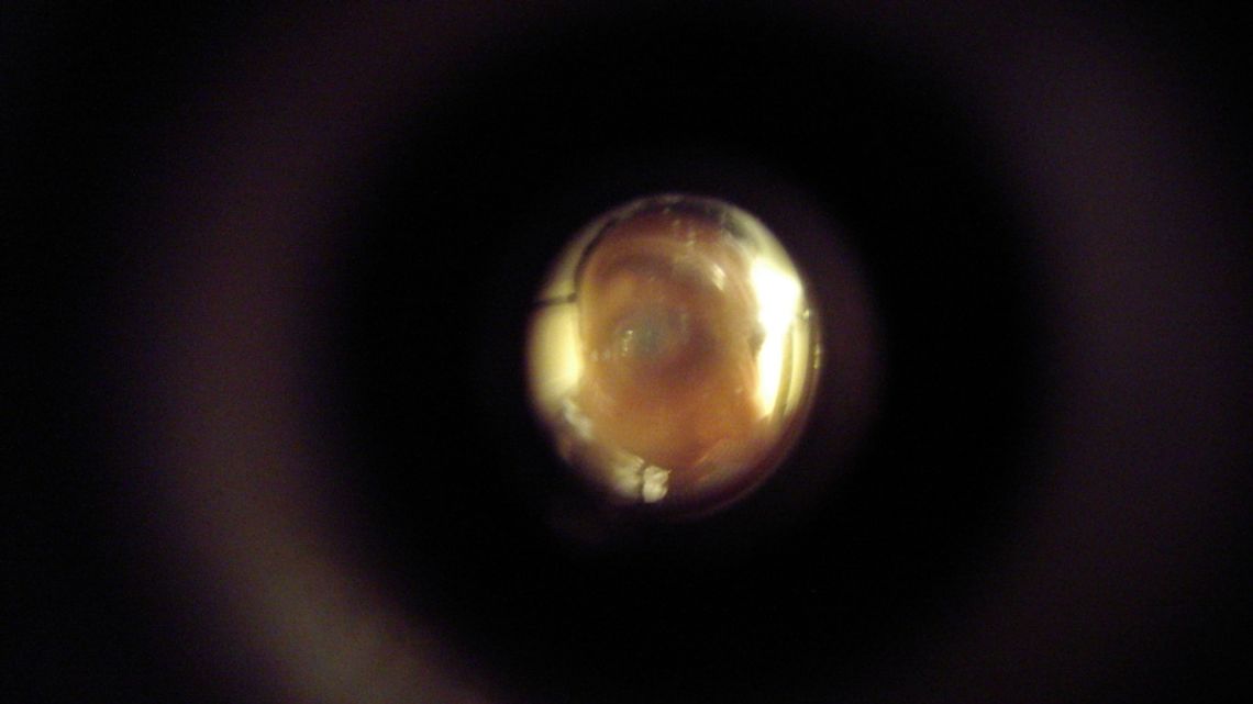 Uwaga na fałszywych pracowników PGM! Uwaga na fałszywych pracowników PGM!