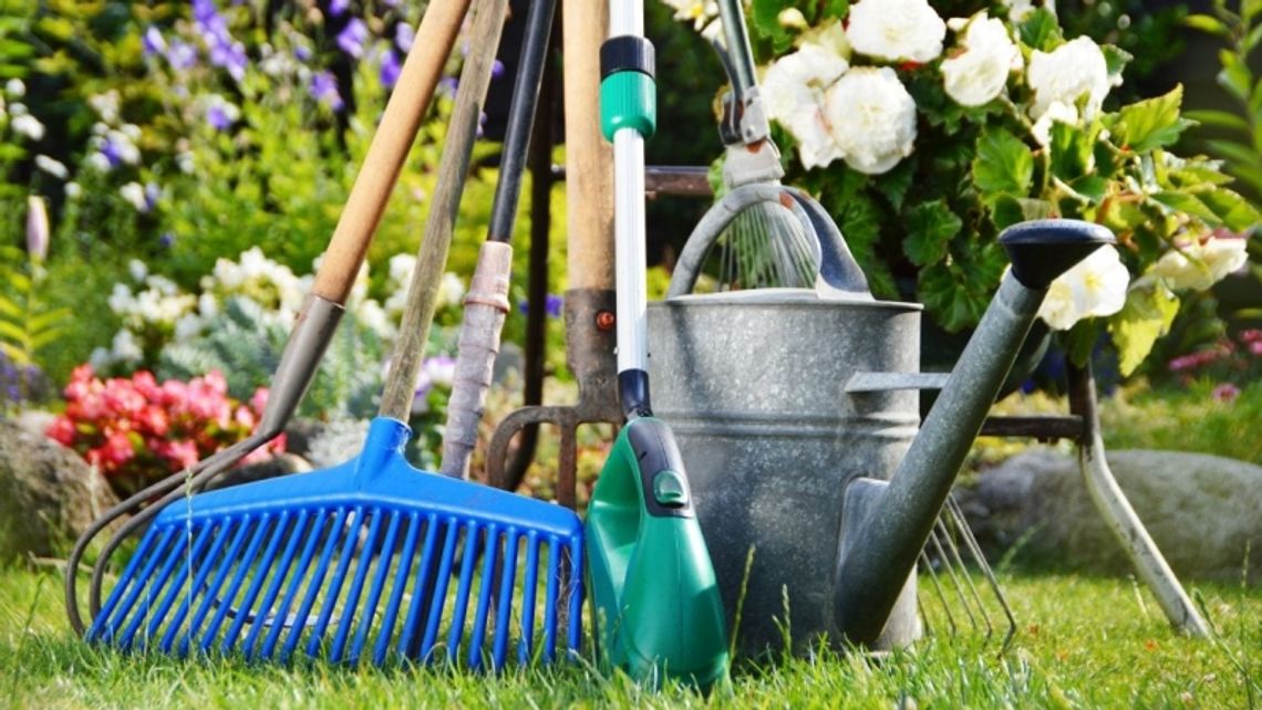 W Chorzowie Batorym powstanie ogród społeczny