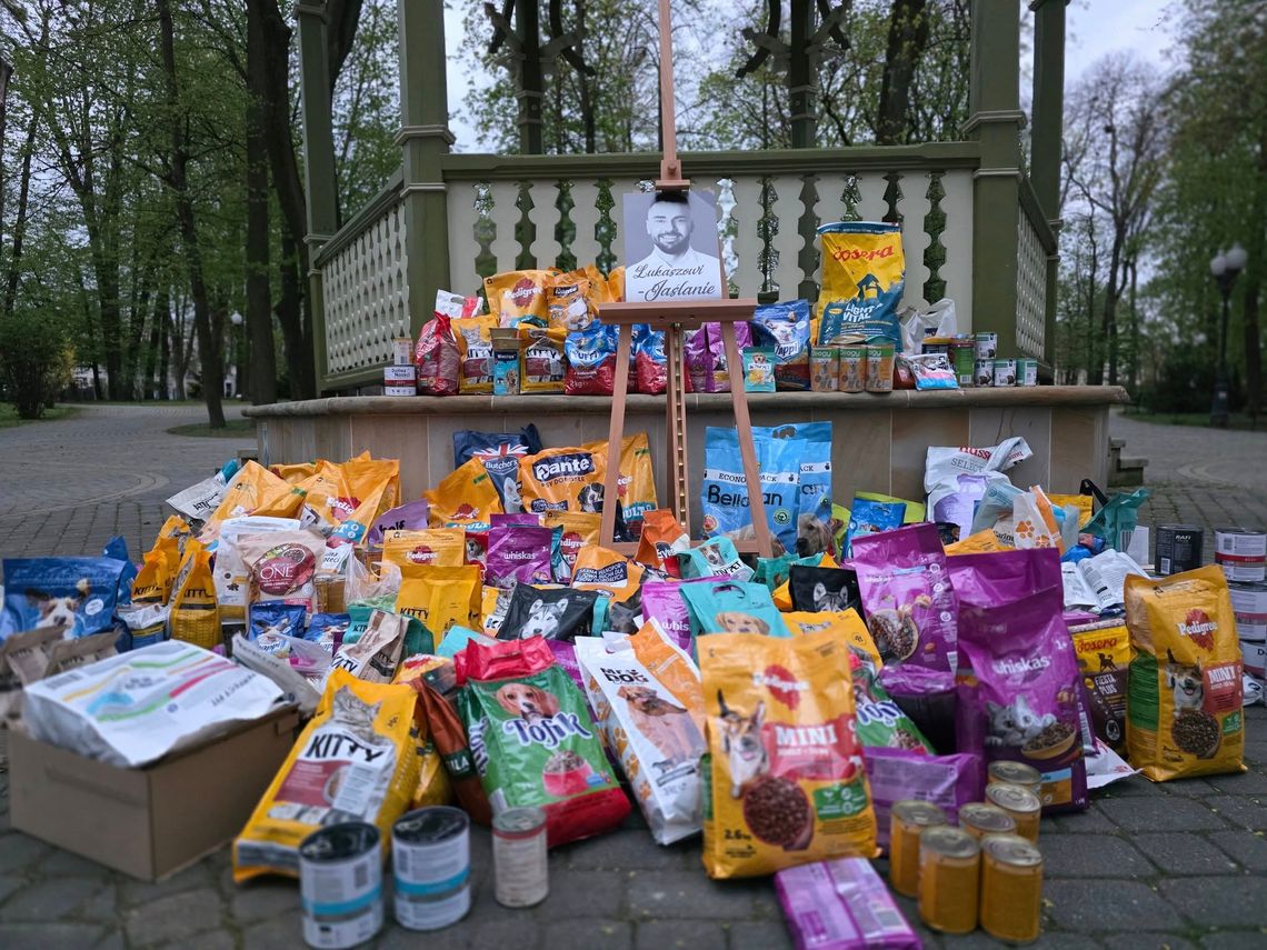 W Chorzowie rusza zbiórka karmy. "Chcemy podać to dobro dalej"