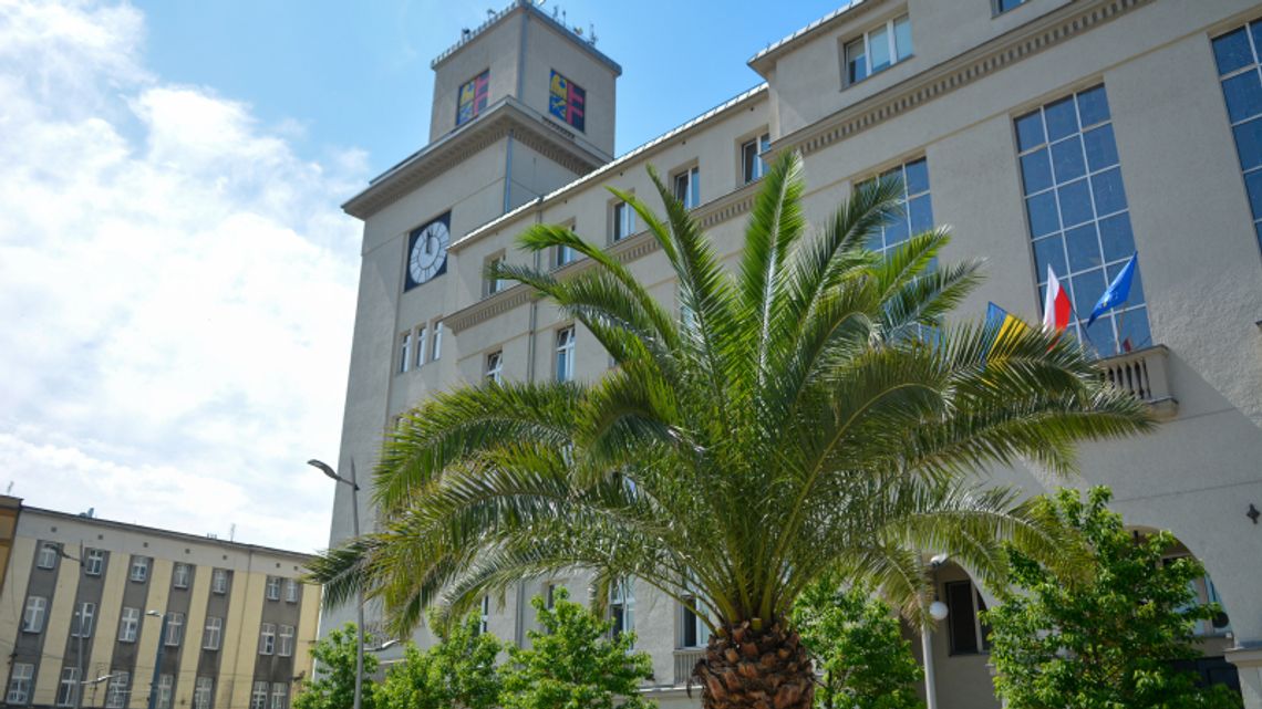 W najbliższą środę II Majówka Przedszkolaka na chorzowskim Rynku W najbliższą środę II Majówka Przedszkolaka na chorzowskim Rynku