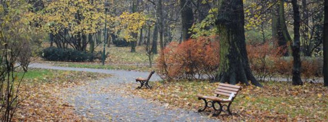 W Parku Róż będzie bezpieczniej?