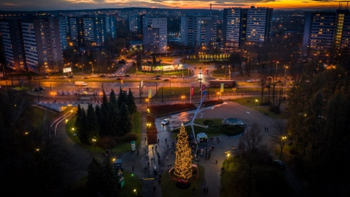 W Parku Śląskim rozbłysła świąteczna choinka W Parku Śląskim rozbłysła świąteczna choinka