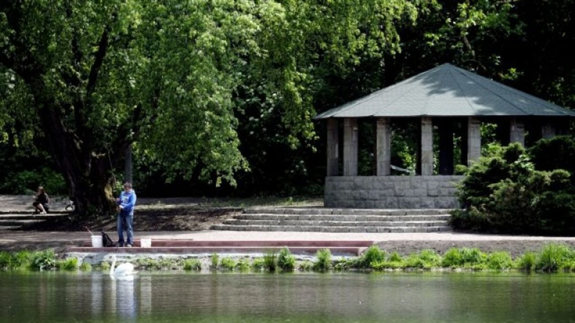 W Parku Śląskim ruszyły prace rewitalizacyjne W Parku Śląskim ruszyły prace rewitalizacyjne