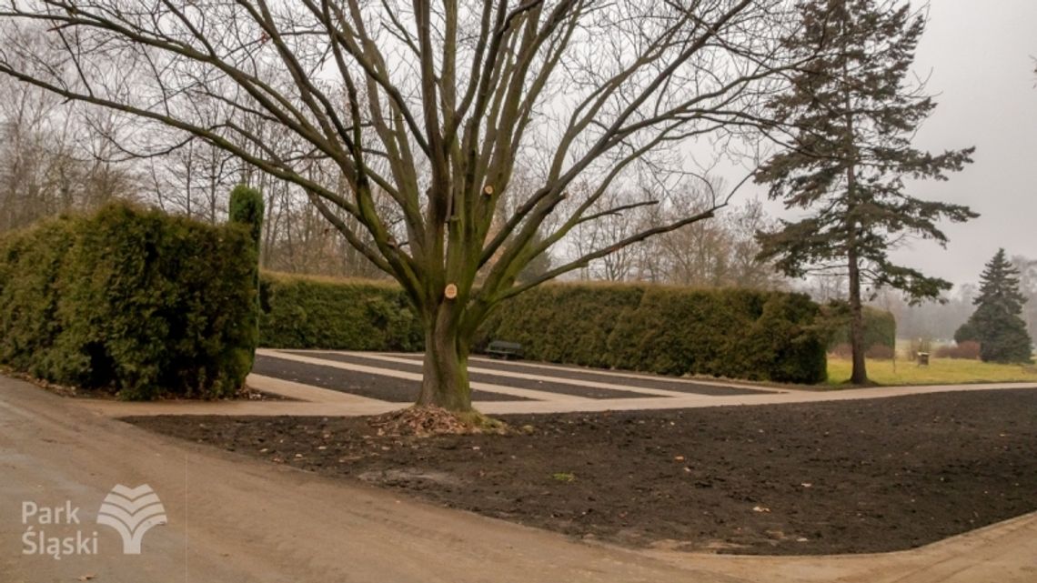 W Parku Śląskim zakończono kolejną inwestycję