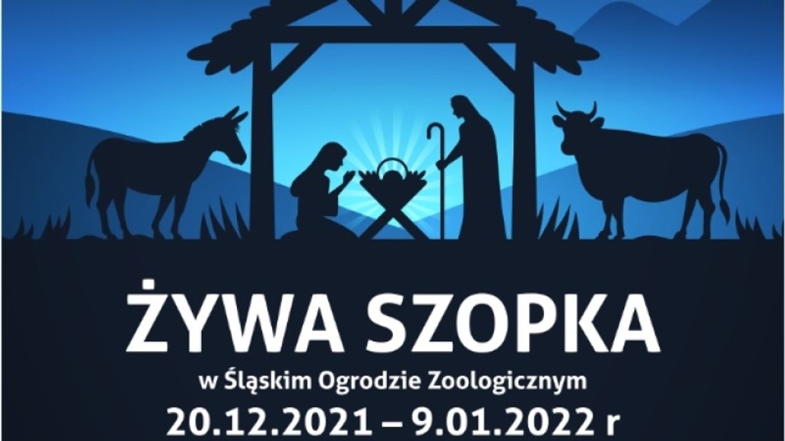 W Śląskim ZOO zobaczyć można żywą szopkę W Śląskim ZOO zobaczyć można żywą szopkę