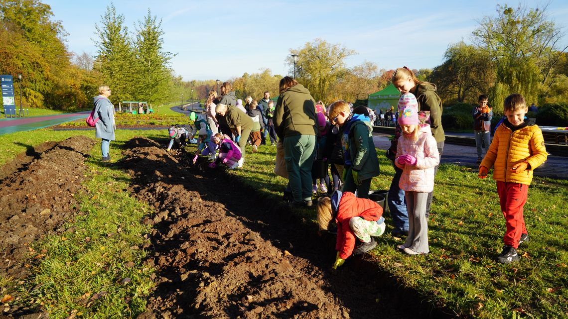 W TAURON Parku Śląskim posadzono 6000 narcyzów! "Już od najwcześniejszych lat uczymy tych dobrych wzorców, a to na pewno zaprocentuje w przyszłości"