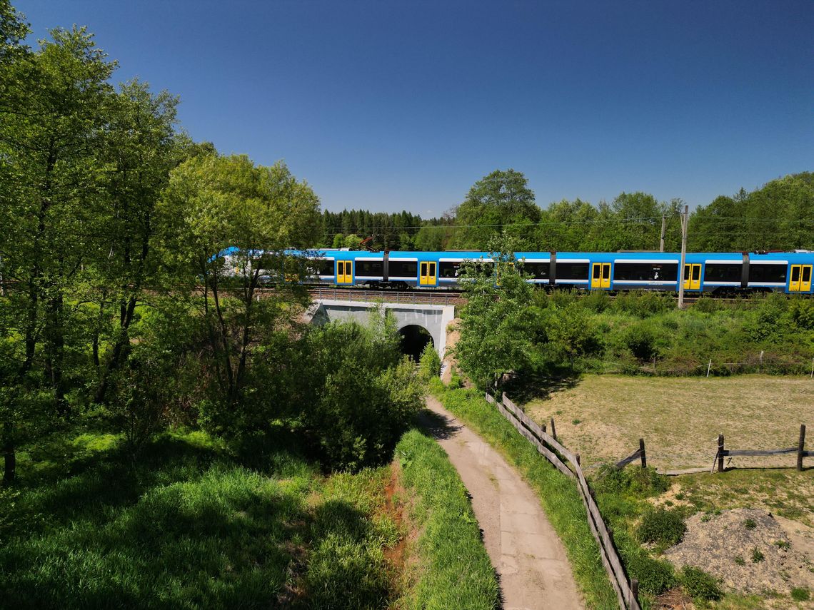 W wakacje z rodzinnym biletem Kolei Śląskich za 10 zł najchętniej podróżowaliśmy w góry