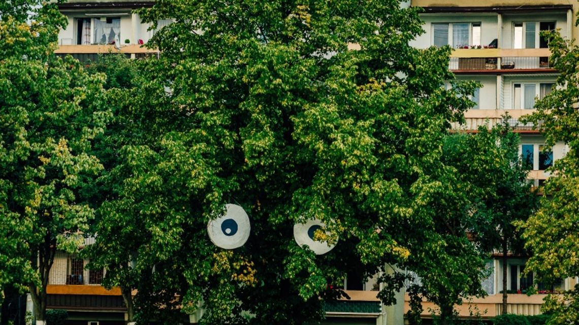 "Wakacje OCZYwiście" rozpoczęte!  