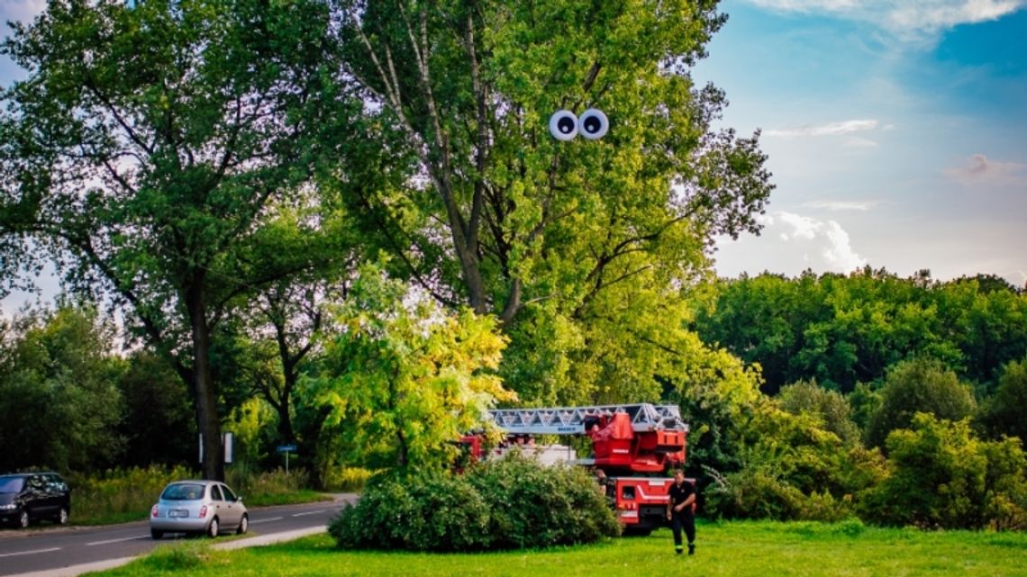 Wakacje OCZYwiście w Maciejkowicach [FOTORELACJA]