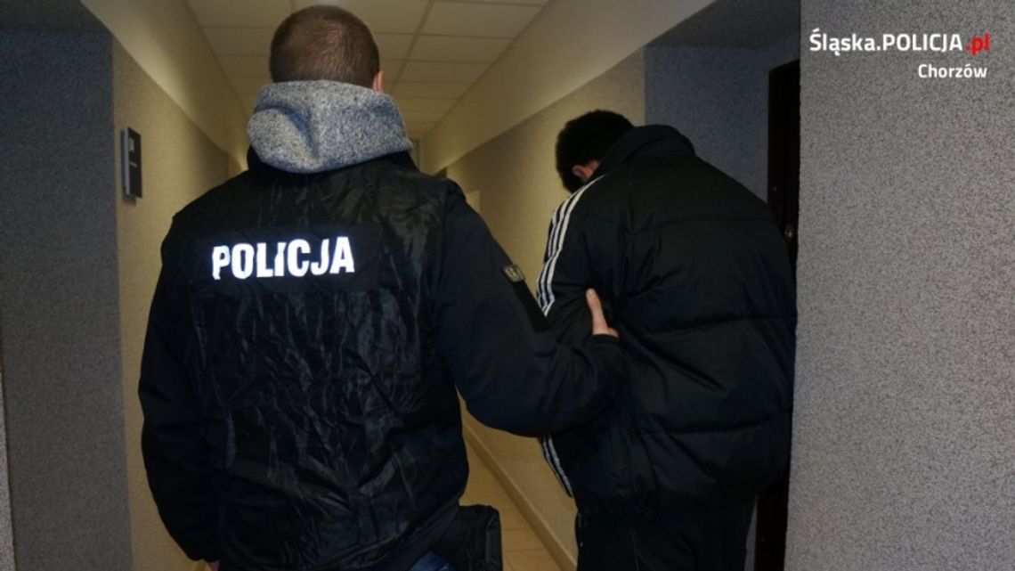 Wandal w rękach policji