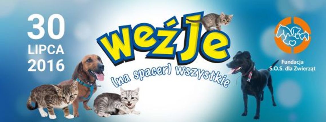 Weź Je Wszystkie!