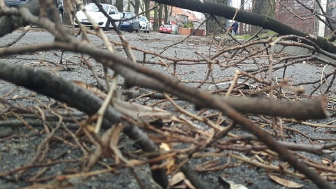 Wichura zbiera żniwo...