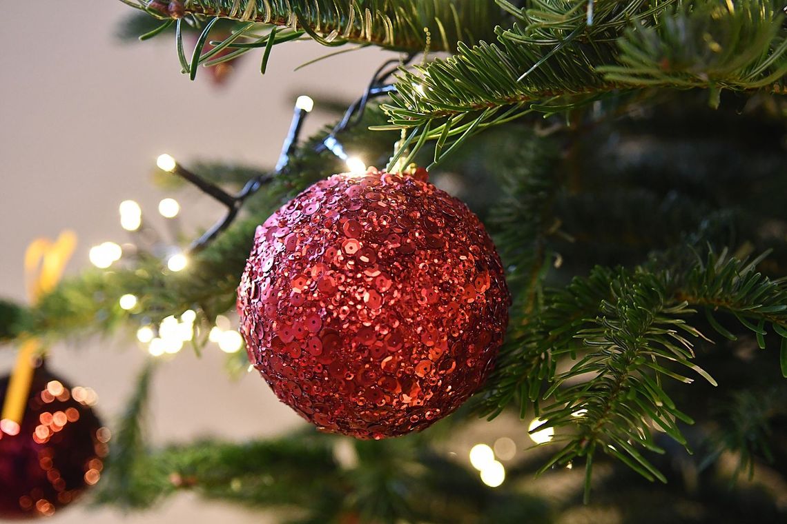 Wigilijne tradycje całej Polski! Jakie są różnice, a co łączy nas wszystkich?