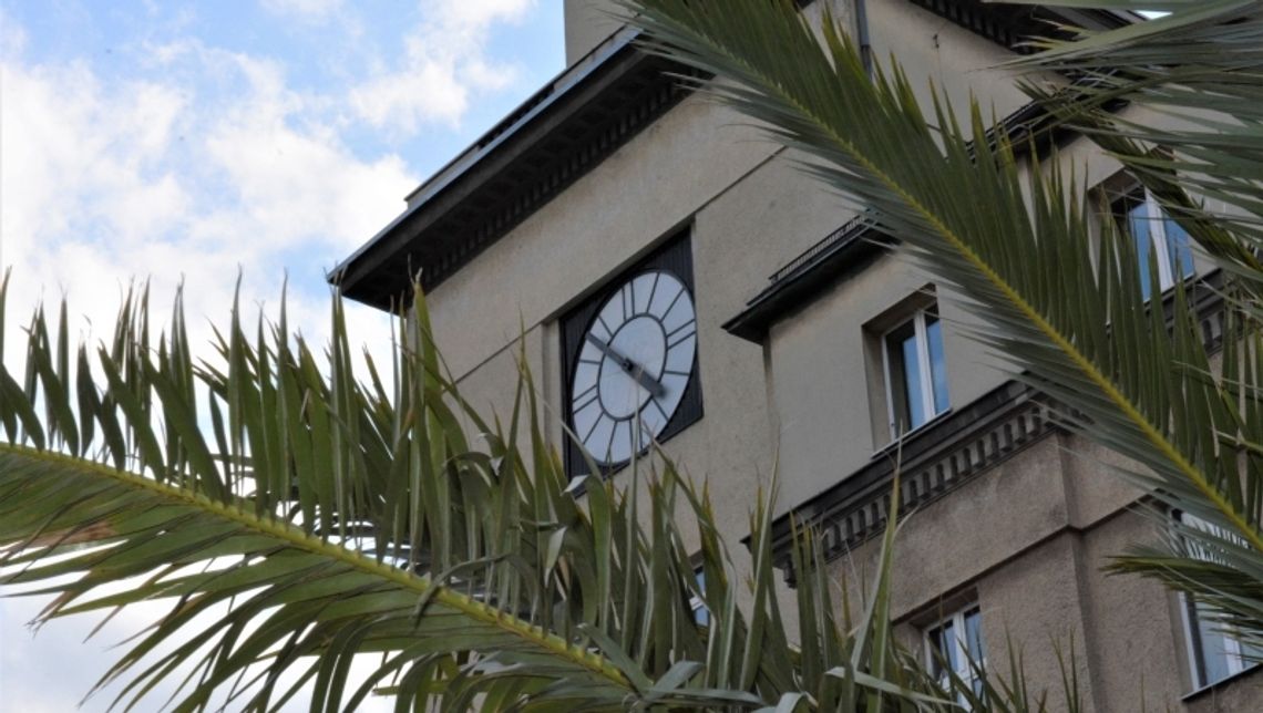 Wkrótce ruszy nabór zgłoszeń na projekty "zielone" Wkrótce ruszy nabór zgłoszeń na projekty "zielone"