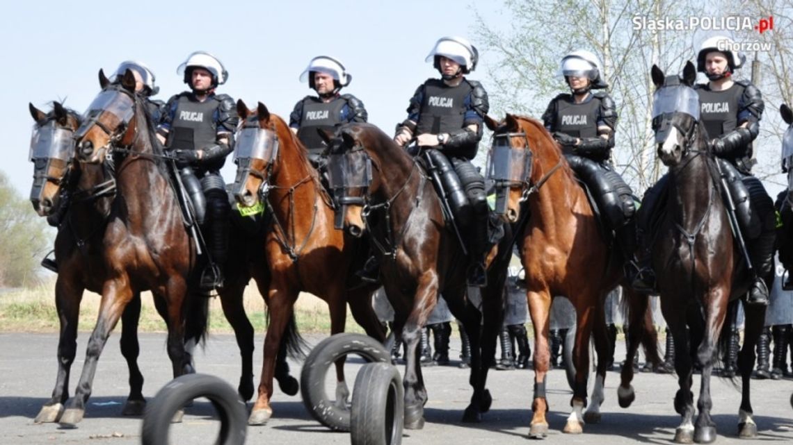 Wspólne ćwiczenia prewencji i policji konnej [WIDEO]