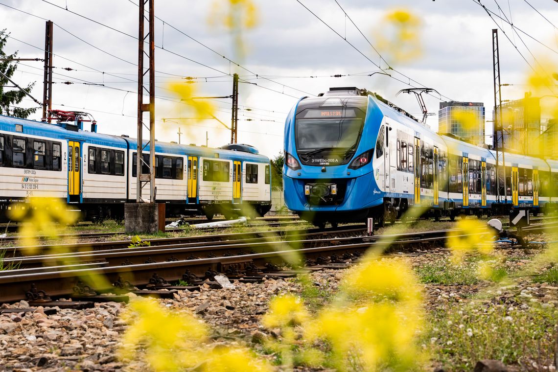 Wszystkie łapki na pokład! Coraz więcej pasażerów Kolei Śląskich podróżuje ze zwierzętami Wszystkie łapki na pokład! Coraz więcej pasażerów Kolei Śląskich podróżuje ze zwierzętami