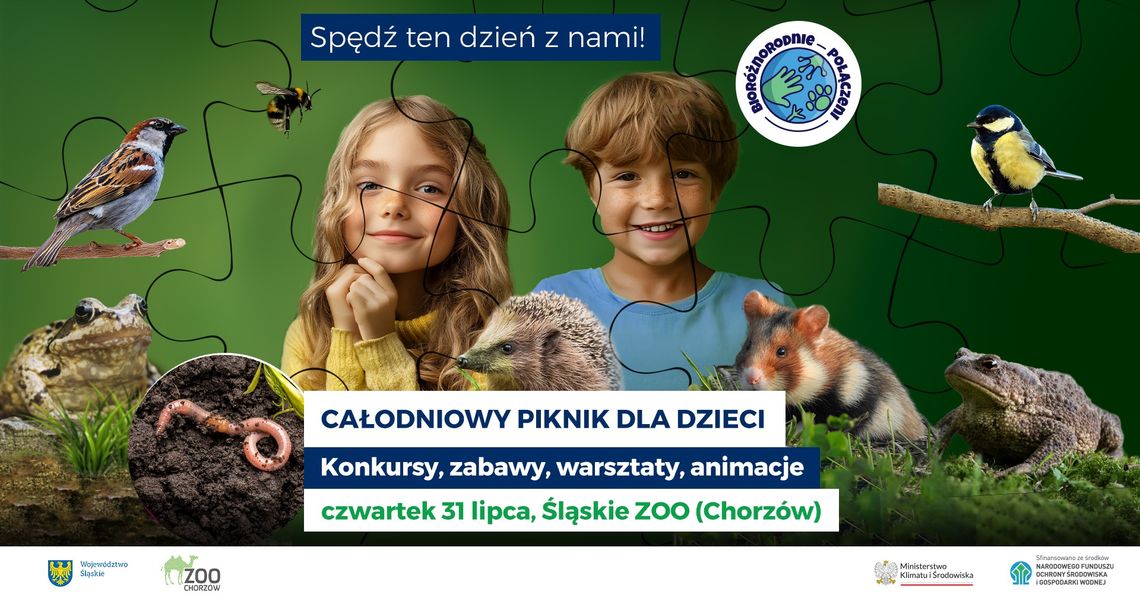 Wyjątkowy piknik dla dzieci w Śląskim Ogrodzie Zoologicznym! Przygotowano osiem stref tematycznych!