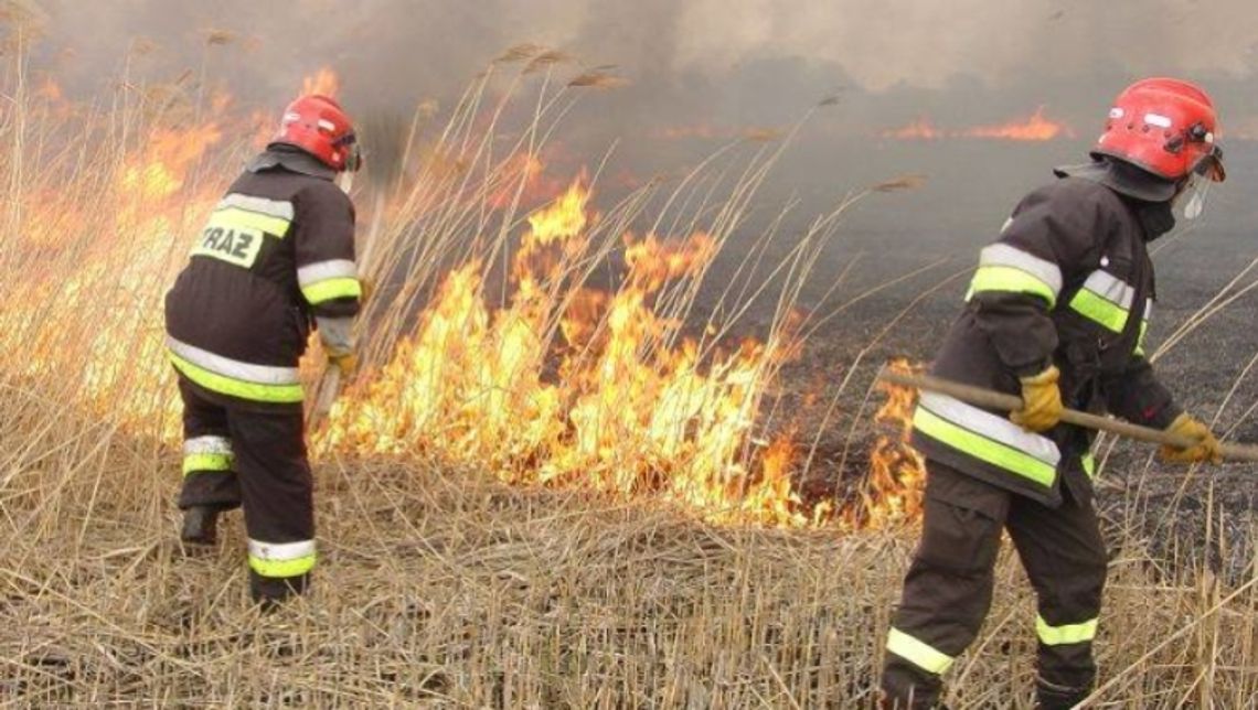 Wypalanie trwa jest niedozwolone!