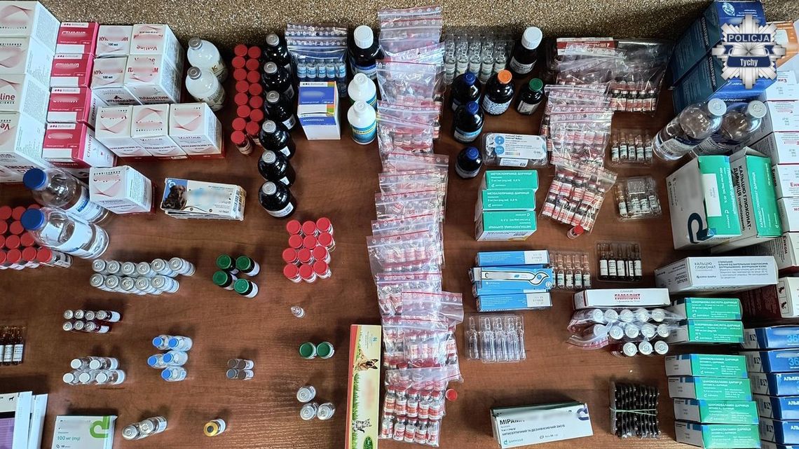 Z Ukrainy do polskich lecznic weterynaryjnych. Chorzowianin odpowie za nielegalny obrót lekami Z Ukrainy do polskich lecznic weterynaryjnych. Chorzowianin odpowie za nielegalny obrót lekami