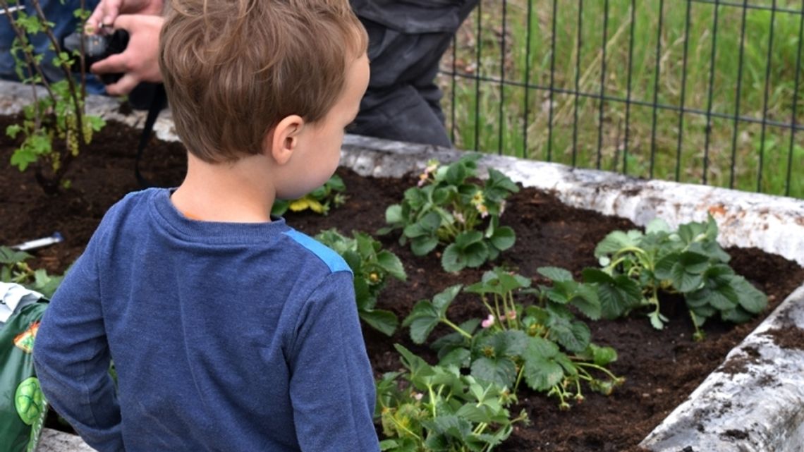 Za nami inauguracja "Radośnika". W Chorzowie powstał ogród hutniczy Za nami inauguracja "Radośnika". W Chorzowie powstał ogród hutniczy