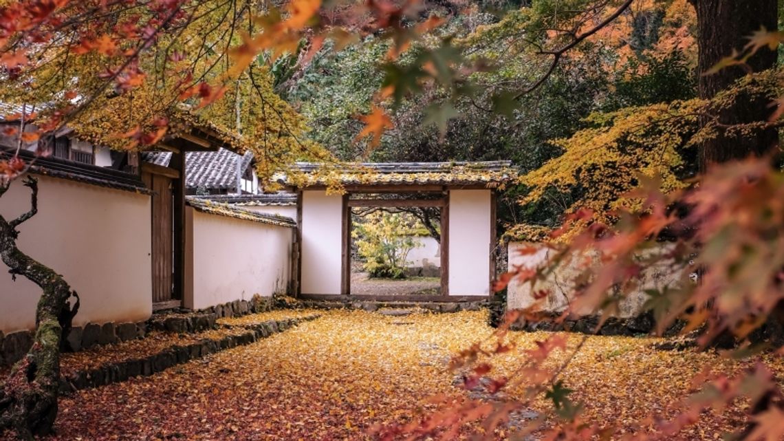 Zadbaj o bezpieczeństwo na swojej działce