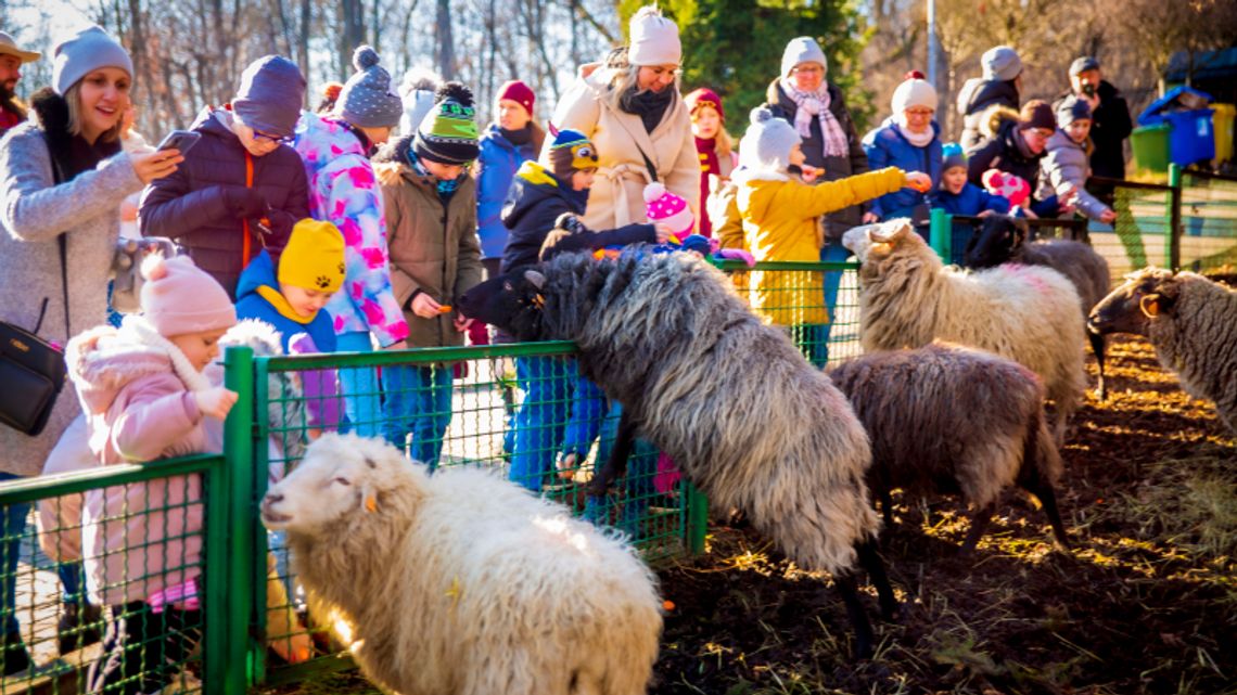 "Zagroda pełna zwierząt" tematem kolejnego spaceru w Skansenie