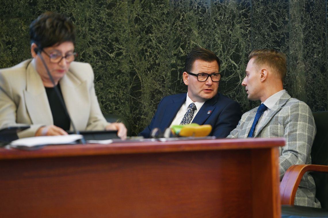 Krótsza DK79, dłuższa DTŚ-ka. Plany zmian w związku z budową nowej estakady w Chorzowie Krótsza DK79, dłuższa DTŚ-ka. Plany zmian w związku z budową nowej estakady w Chorzowie