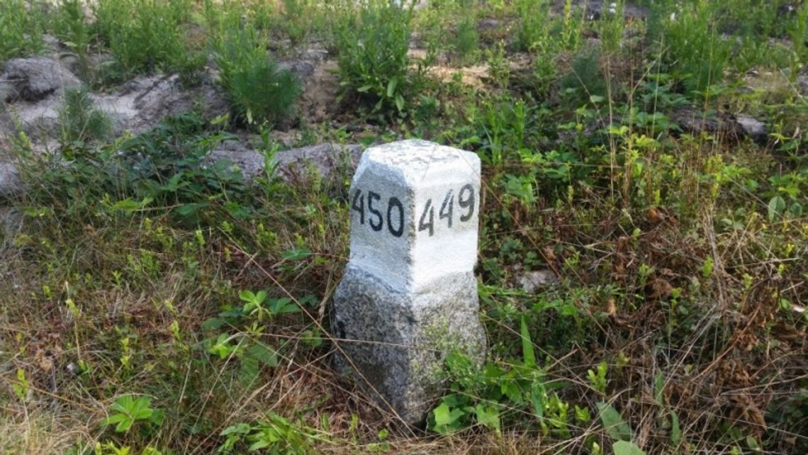 Zgubiłeś się w lesie? Nie panikuj!