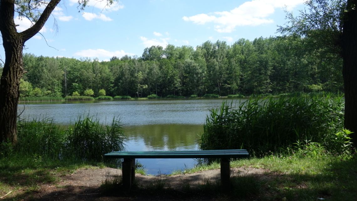 Zielone plany trzech miast Zielone plany trzech miast