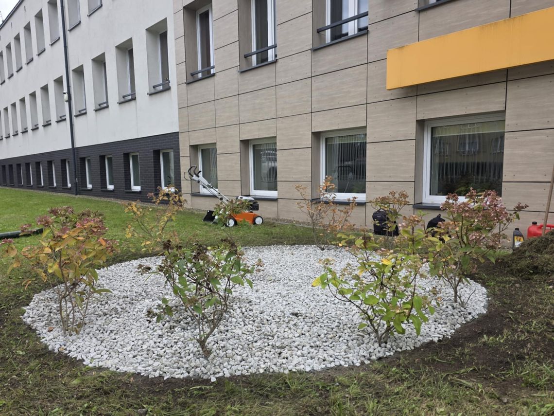 Zielono i pięknie w Powiatowym Urzędzie Pracy w Świętochłowicach. Tą pracę wykonali uczestnicy warsztatów w CIS
