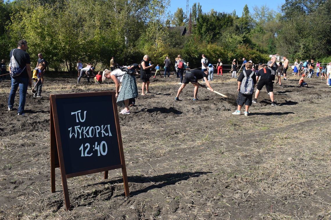 Ziemniak znów wystąpi w roli głównej. Przed nami tradycyjne wykopki w Skansenie! Ziemniak znów wystąpi w roli głównej. Przed nami tradycyjne wykopki w Skansenie!