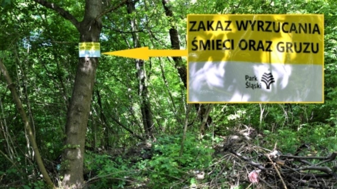 Zlikwidowano kolejne dzikie wysypisko w Parku Śląskim Zlikwidowano kolejne dzikie wysypisko w Parku Śląskim