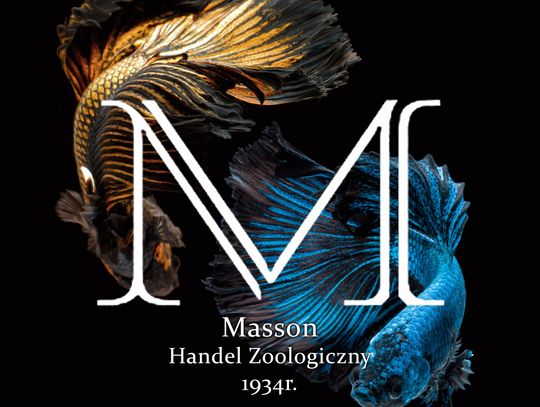 Sklep Zoologiczny Masson