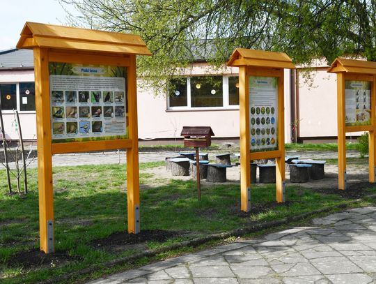 Tablice edukacyjne i przestrzeń ekopracowni Społecznej Szkoły Podstawowej w Chorzowie — zdjęcie z kwietnia 2026 roku
